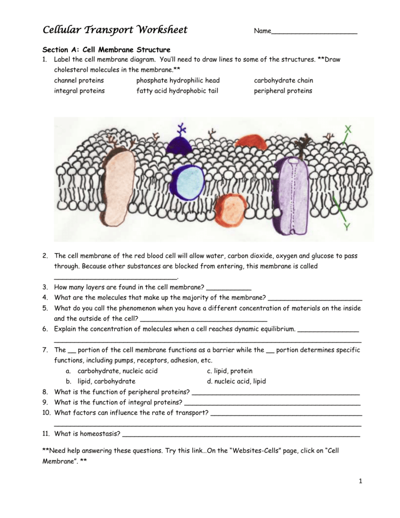 Inside Outside Worksheets